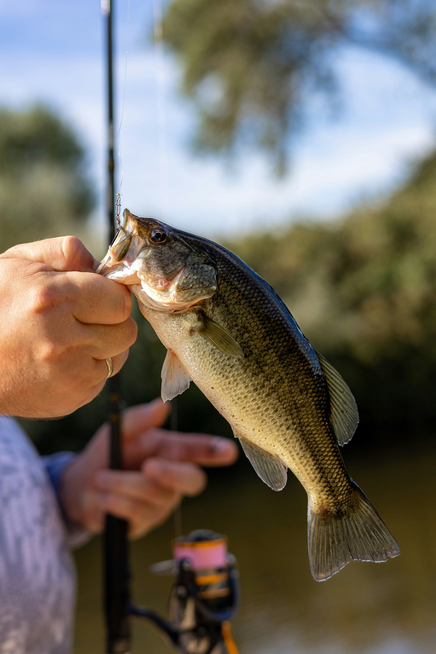 Clean & Keep – Essentials for After the Catch